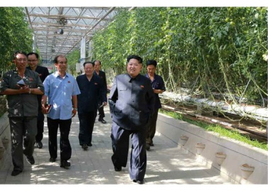 150707 - RS - KIM JONG UN - Marschall KIM JONG UN besichtigte das Wissenschaftliche Institut für Gemüse Pyongyang - 04 - 경애하는 김정은동지께서 평양남새과학연구소를 현지지도하시였다