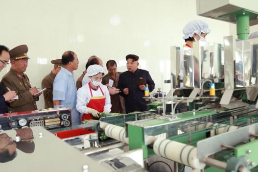 150711 - SK - KIM JONG UN - Marschall KIM JONG UN besichtigte die Verarbeitungsfabrik für Seetang Taegyong in Pyongyang - 07 - 경애하는 김정은동지께서 평양대경김가공공장을 현지지도하시였다