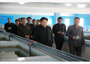 151031 - RS - KIM JONG UN - Marschall KIM JONG UN besuchte den modernisierten Welszuchtbetrieb Pyongyang - 17 - 경애하는 김정은동지께서 우리 나라 양어부문의 본보기, 표준공장으로 전변된 평양메기공장을 현지지도하시였다